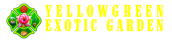 Astrocarpus.com - Online store of unique and rare plants. This shop is a part of Yellow Green Exotic Garden group.